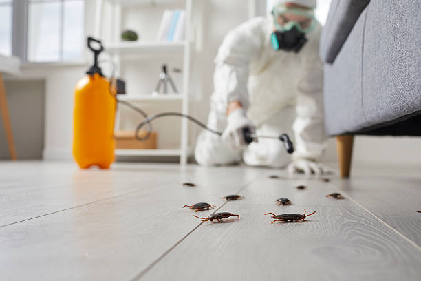 Trusted Rodent Control service in Bolivar, TN - Nex Pest Control